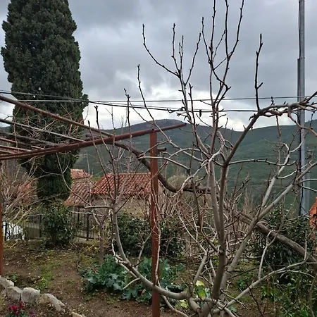 Daire Woodstone House Makrichori (Evia)