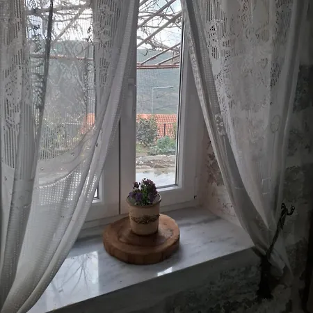 Woodstone House * Makrichori (Evia)