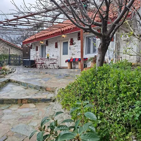 Woodstone House Daire Makrichori (Evia)